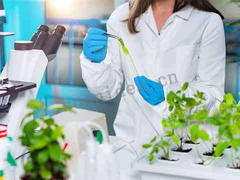 What do you need to pay attention to when using automatic oil press?