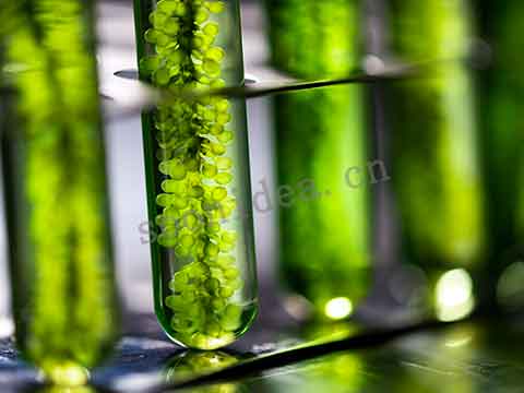 How to wholesale cheap clothes